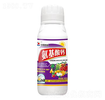 1000ml�������}-��(chu��ng)�¿Ƽ�