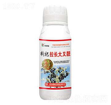500g������L�����n-��(chu��ng)�¿Ƽ�