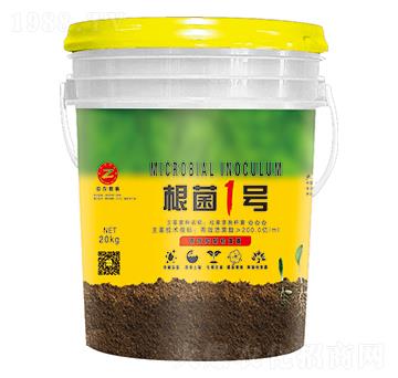 �ݲ�ѿ�ߗU��-����1̖(h��o)-���r(n��ng)��