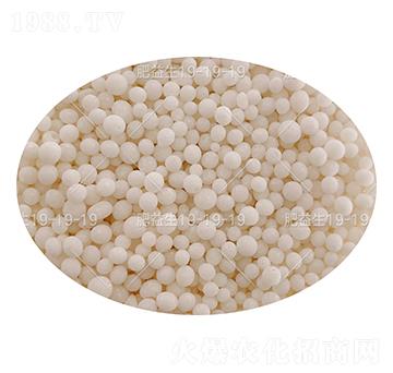 ���컯��������(f��)�Ϸ��ϣ��w����19-19-19-���h(hu��n)-���컯