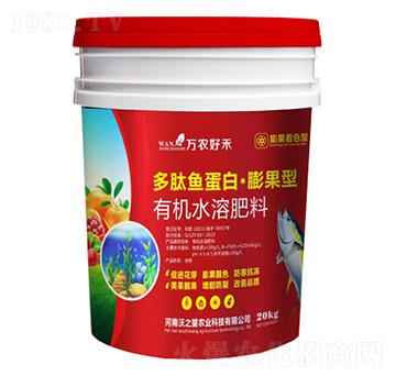 �����~(y��)����-�����-��֮��