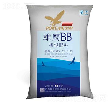�������26-6-19-����BB-������