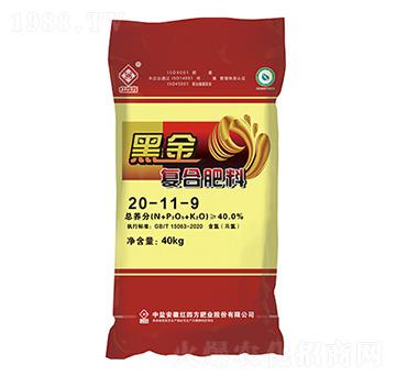 ����ֲ��ͺϷ���20-11-9-�ڽ�-�t�ķ�