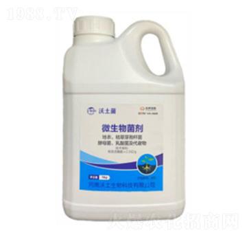 ΢�������-������-��������