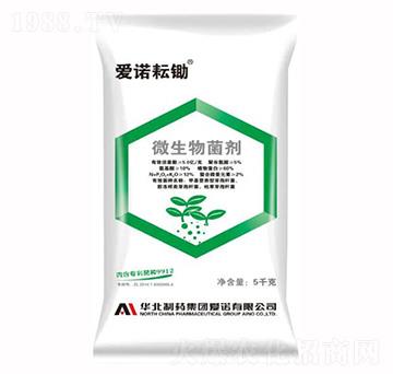 ���Z���z΢�������-���Z