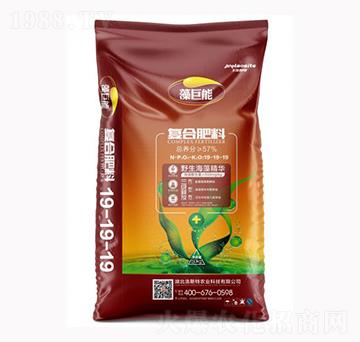 ����܏�(f��)�Ϸ���19-19-19-��˹���r(n��ng)�I(y��)