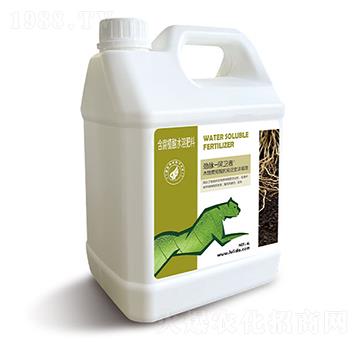 ľ���S�����sҺ-���}���l(w��i)��-�G���_(d��)