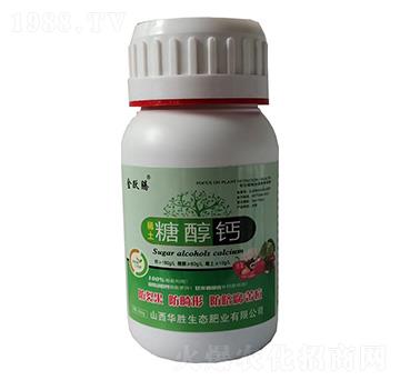 �Ǵ��}-���S�v-�A��