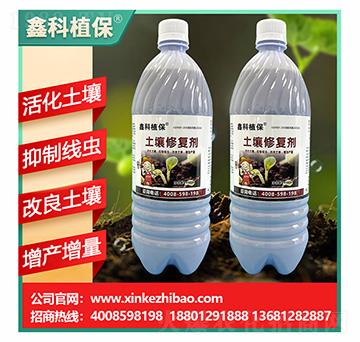 �����ޏ�(f��)��-�ο�ֲ��