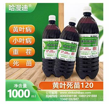 �������S�~����120-�ο�ֲ��