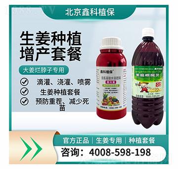 ���������`-�ο�ֲ��