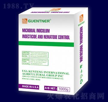 ���v���x-���v����