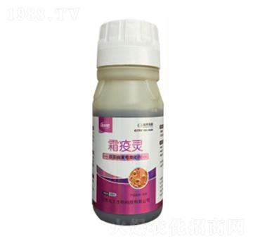 ���������(zhu��n)������-˪���`-�ډѴT�S-��������