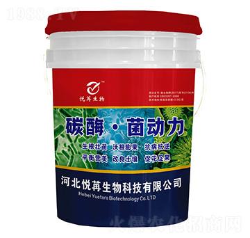 ̼ø����(d��ng)��-����