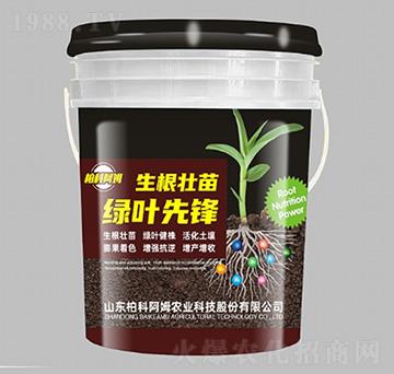 ��������G�~���h-�ؿư�ķ