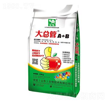 ΢�������-�󿂹�-����-���{����