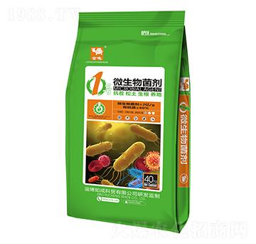 1̖΢�������-����-���{����