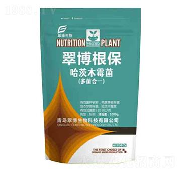 ����ľù��-�䲩����-�䲩����