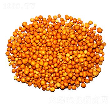 ����n�w����ጷ�15-7-13-ïʩ����