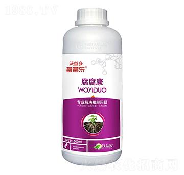 ������-ݮݮ��-�����