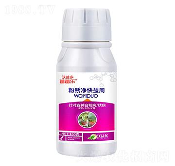 ���P��������-ݮݮ��-�����