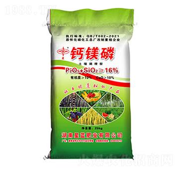 �����{(di��o)�����}�V��-���{�ʘI(y��)