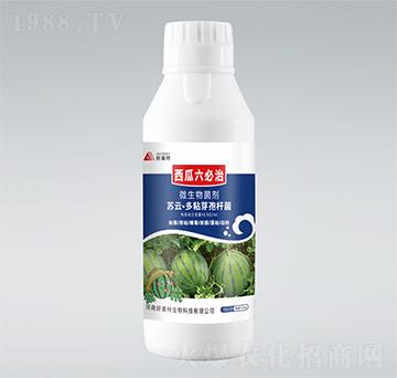 500g�K�ơ���ճ�ѿ�ߗU��-����������-������