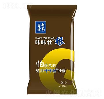 ΢�������-���ǉѸ�-�_����ѿ