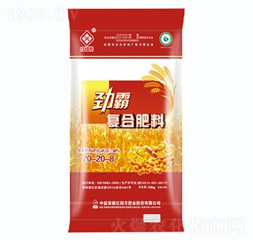 С����������(zhu��n)�Ï�(f��)�Ϸ�20-20-8-�Ű�-�t�ķ�