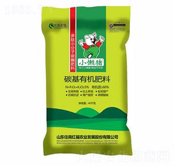 ̼���ЙC����-С���i-ס�̇��H