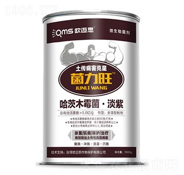 ����ľù��������-������-�W�~˼�r�I(y��)