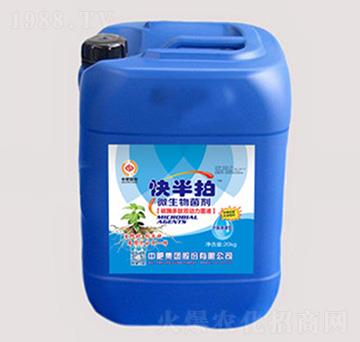 20kg΢�������-�����-�����ʘI(y��)