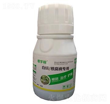 �׽�/����������-�ÌW��