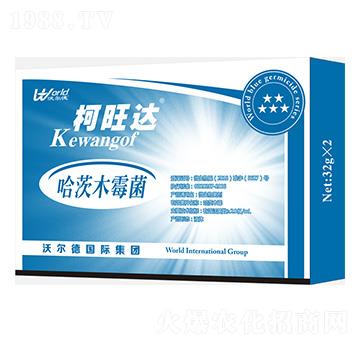 ����ľù��-�����_(d��)-�֠����r(n��ng)�I(y��)