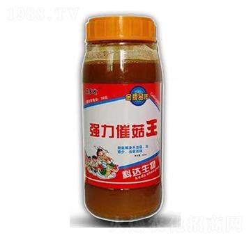 ����������(qi��ng)���߹���-���_(d��)����