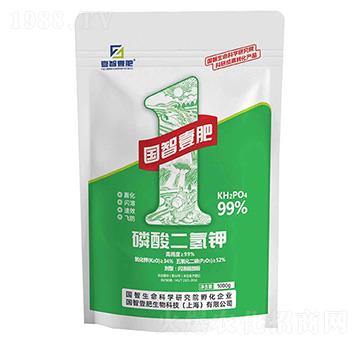 ��������-��(gu��)��Ҽ��