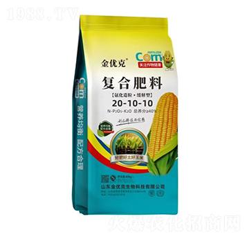 ��������������͏�(f��)�Ϸ���20-10-10-����(y��u)��