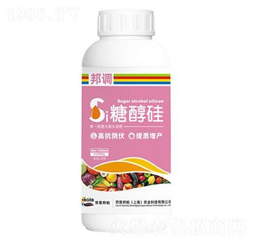 糖醇硅-邦調-勞恩邦柏