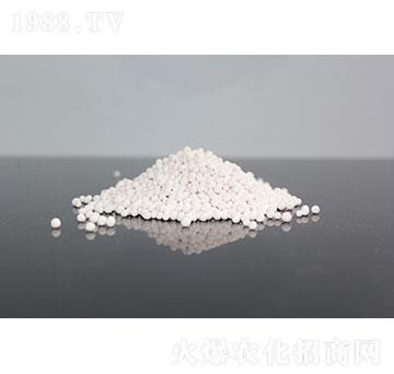 �����i�w��-����