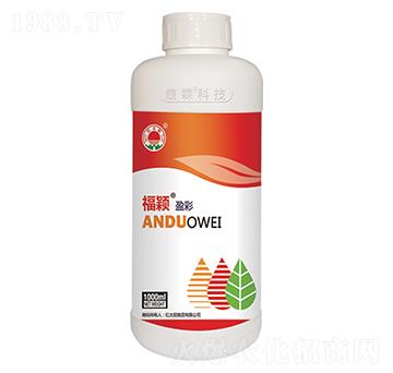 ���fӯ��-��������