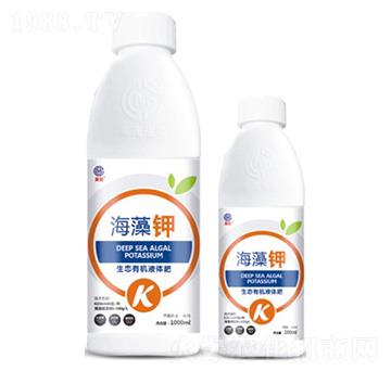 �����-��ï����