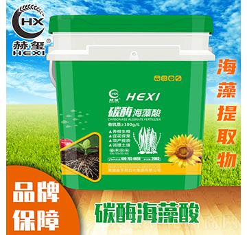 ̼ø������-�խt