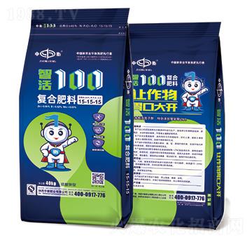 �ǻ�100�ͺϷ���15