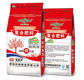 �V�����ͺϷ���20-1