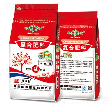 �V�����ͺϷ���15-1