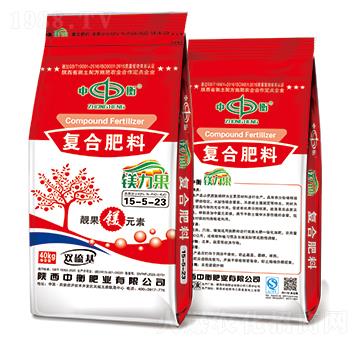 �V�����ͺϷ���15-5