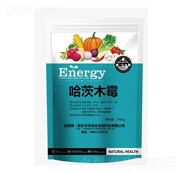 ����ľù-���r(sh��)��