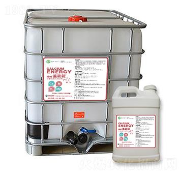 ������w����-����