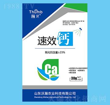 �}��-��l(w��i)-����r(n��ng)�I(y��)