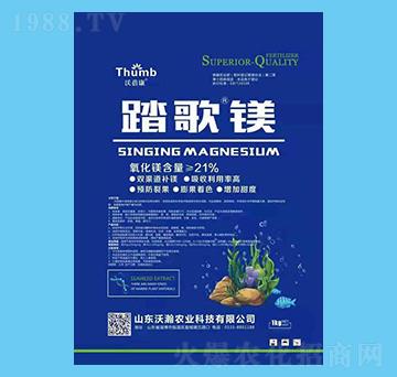 ̤���V-������-����r�I(y��)